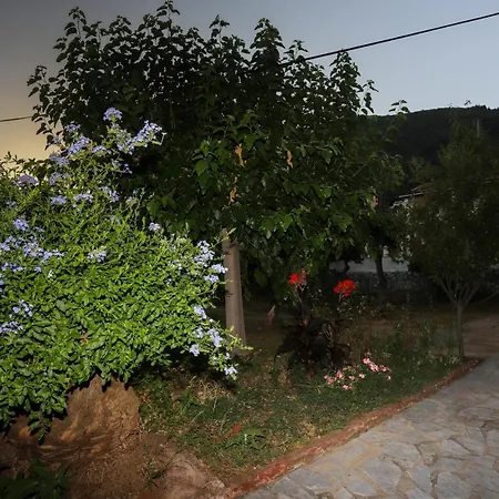 Cosy Budget To Rent In Corfu Appartamento Ipsos
