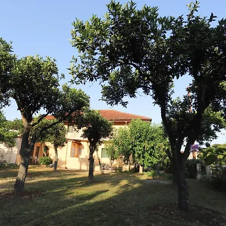 Cosy Budget To Rent In Corfu Appartamento