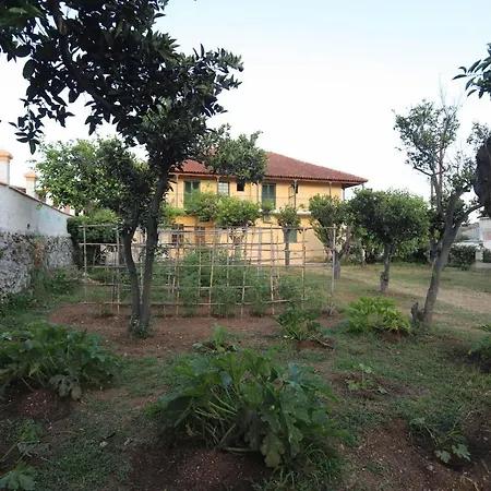 Cosy Budget To Rent In Corfu Appartamento